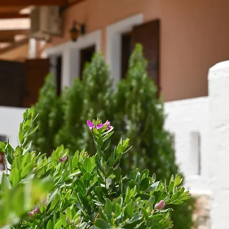 Garden House Xerokampos Apartment Xerokampos  Exterior photo