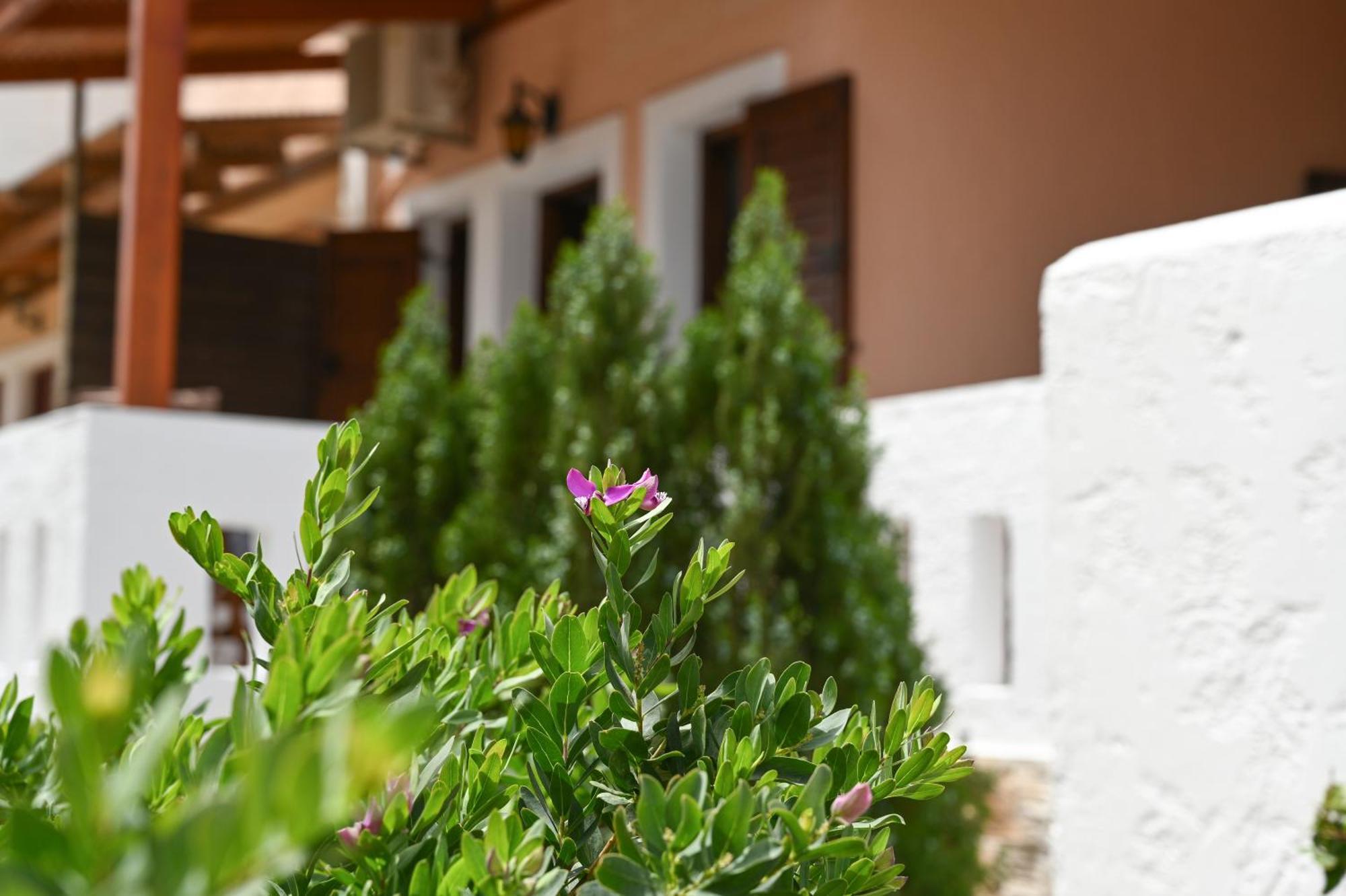 Garden House Xerokampos * Xerokampos (Crete)